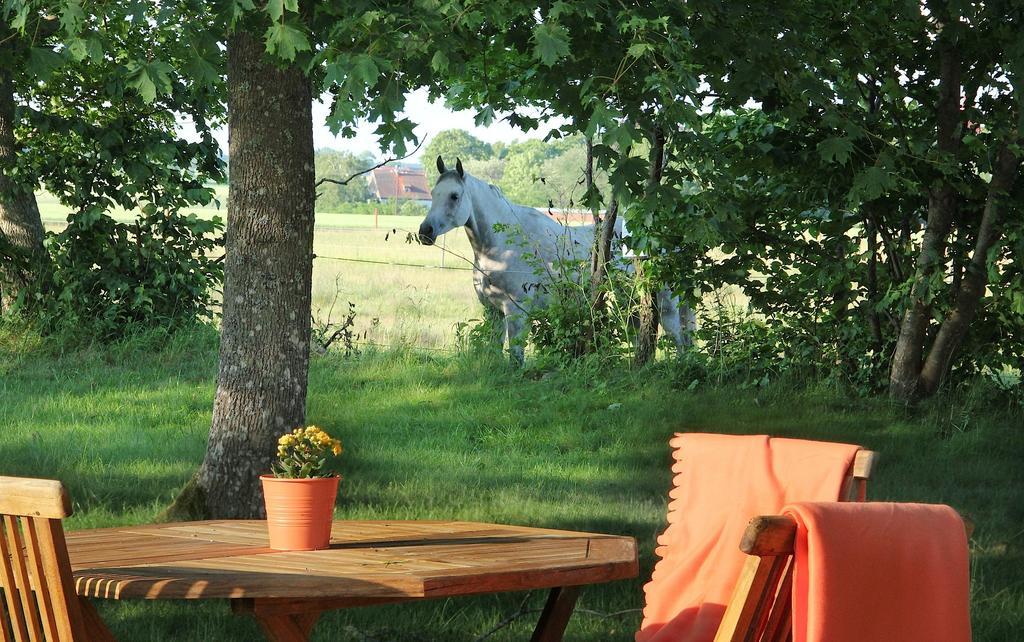 Tryde 1303 B&B Pa Oesterlen Tomelilla Exteriér fotografie